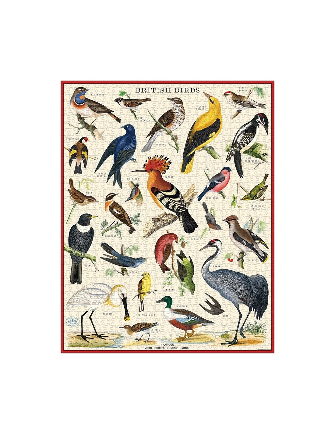 Puzle Aves Británicas 1000 Piezas