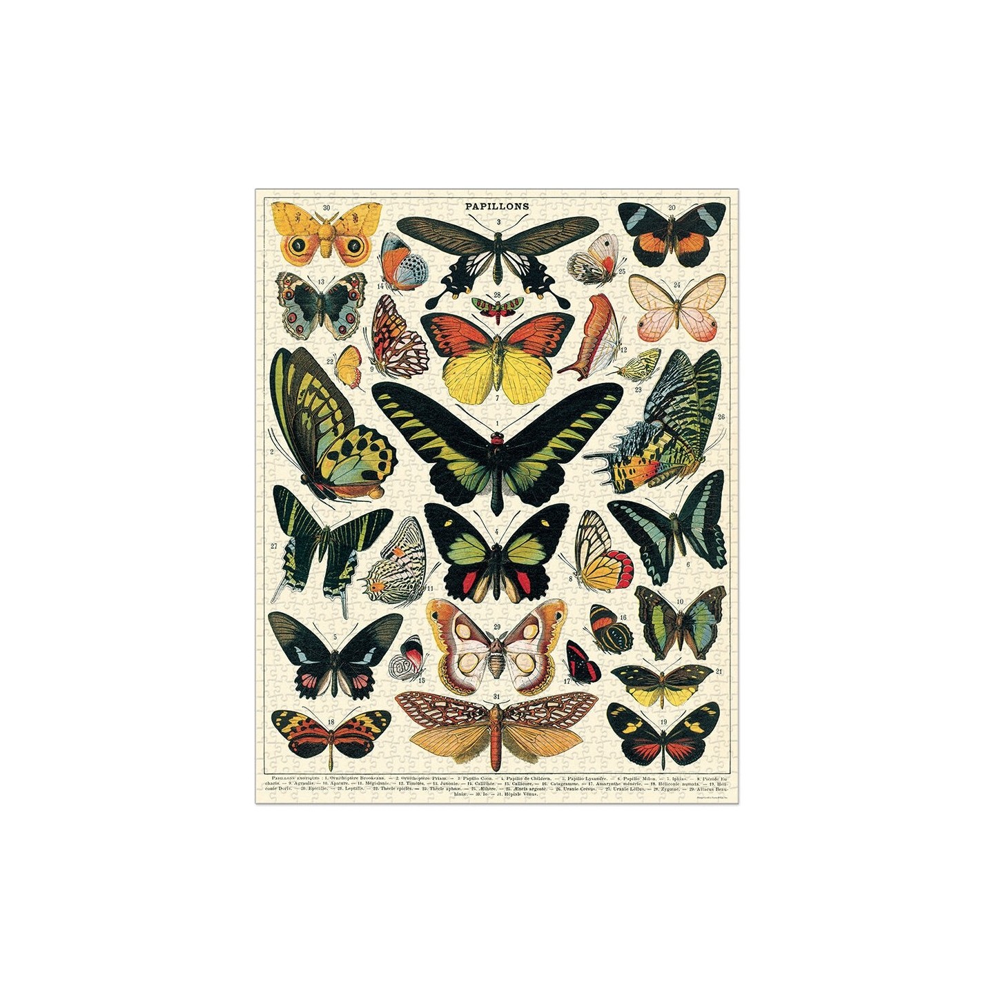 Puzle Mariposas 1000 Piezas