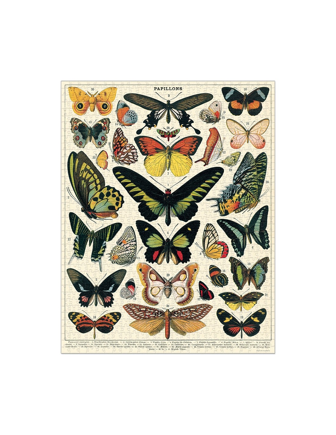 Puzle Mariposas 1000 Piezas