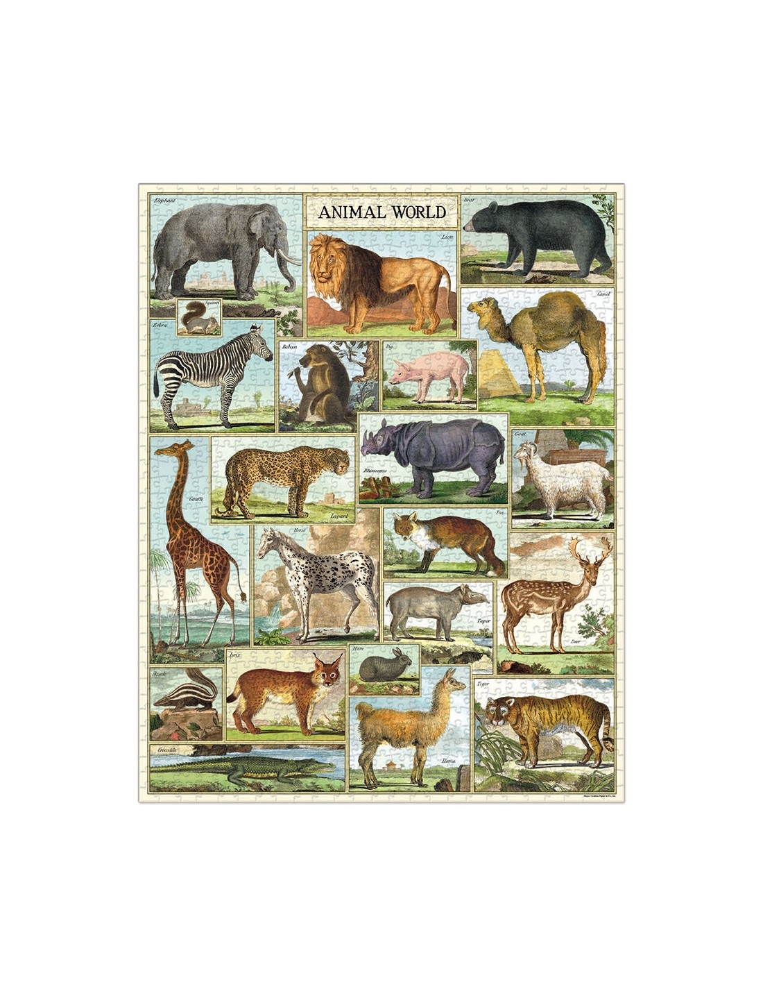 Puzle Mundo Animal 1000 Piezas