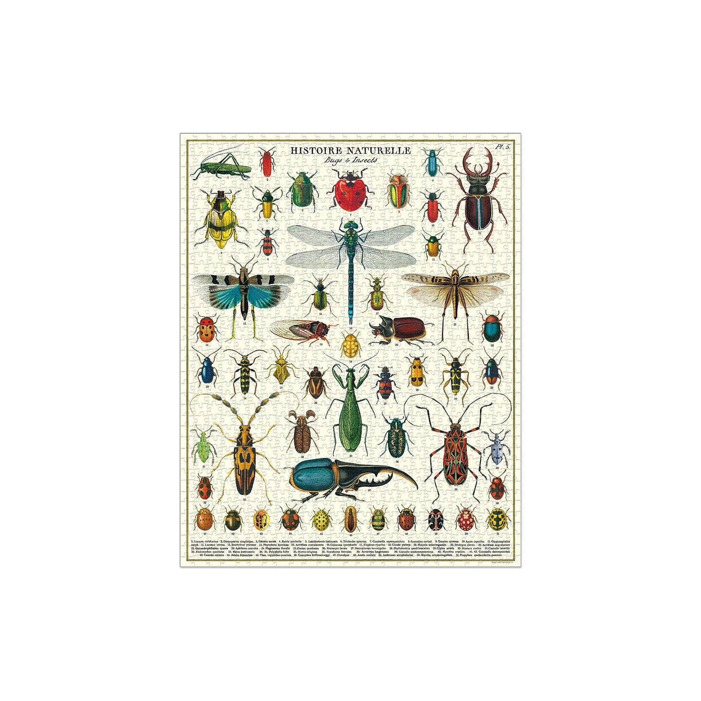 Puzle Insectos 1000 Piezas