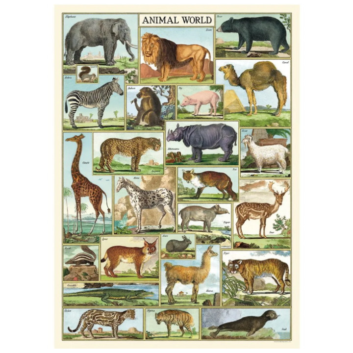 Póster 50x70 cm Mundo Animal