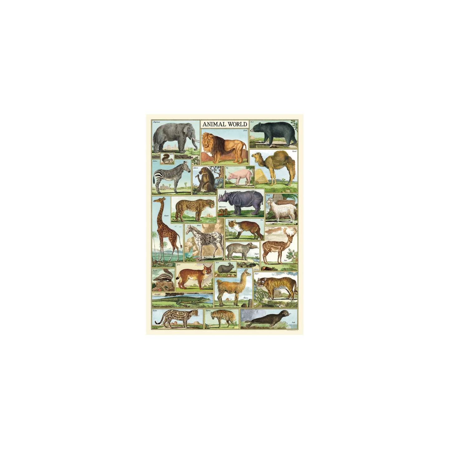 Póster 50x70 cm Mundo Animal