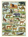 Póster 50x70 cm Mundo Animal
