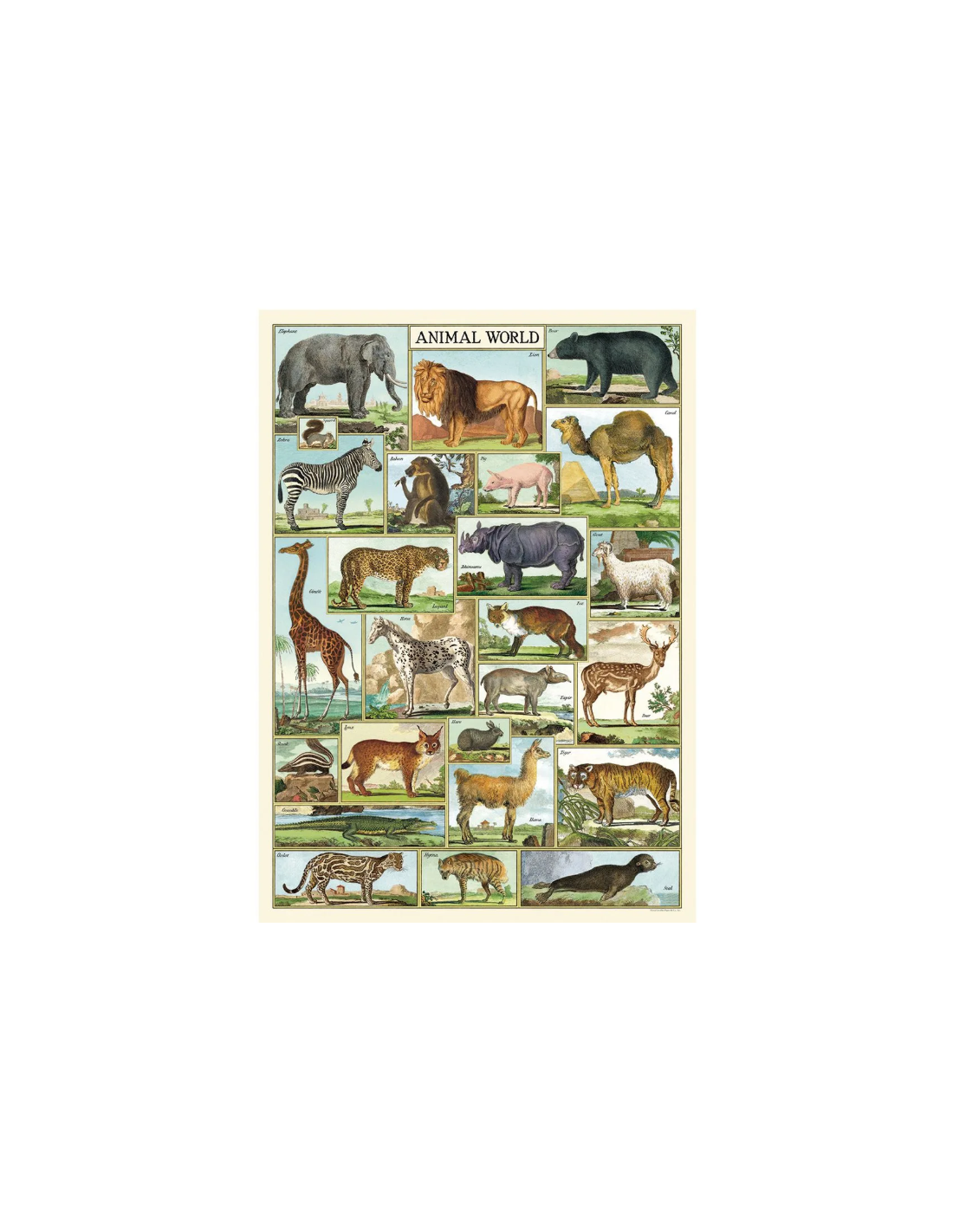 Póster 50x70 cm Mundo Animal