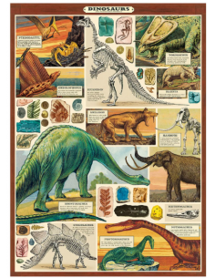 Póster 50x70 cm Dinosaurios