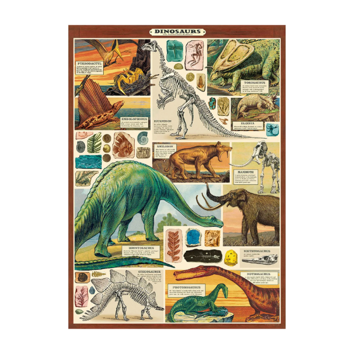 Póster 50x70 cm Dinosaurios