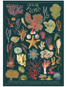 Póster 50x70 cm Flora Marina