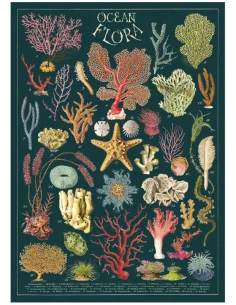 Póster 50x70 cm Flora Marina