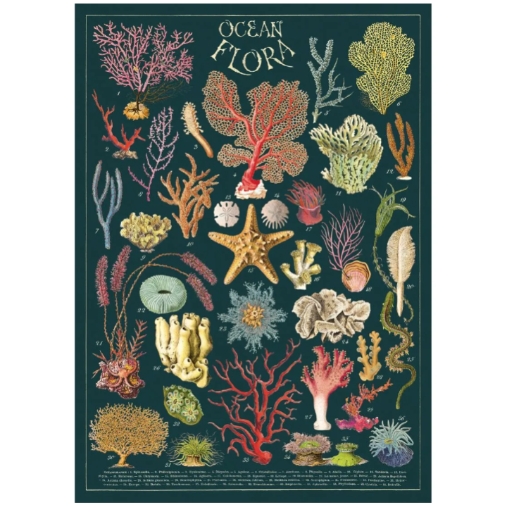 Póster 50x70 cm Flora Marina