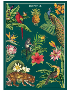 Póster 50x70 cm Tropical