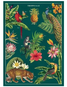 Póster 50x70 cm Tropical