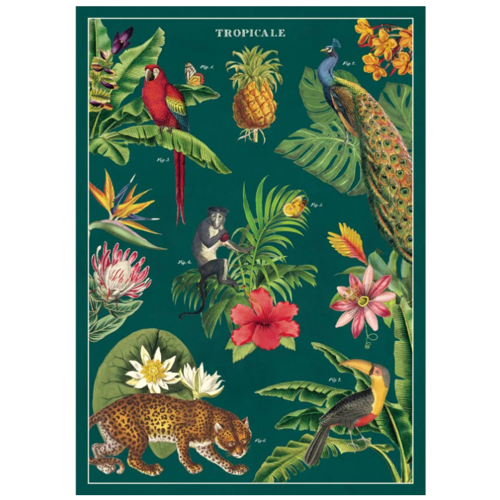 Póster 50x70 cm Tropical
