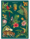 Póster 50x70 cm Tropical