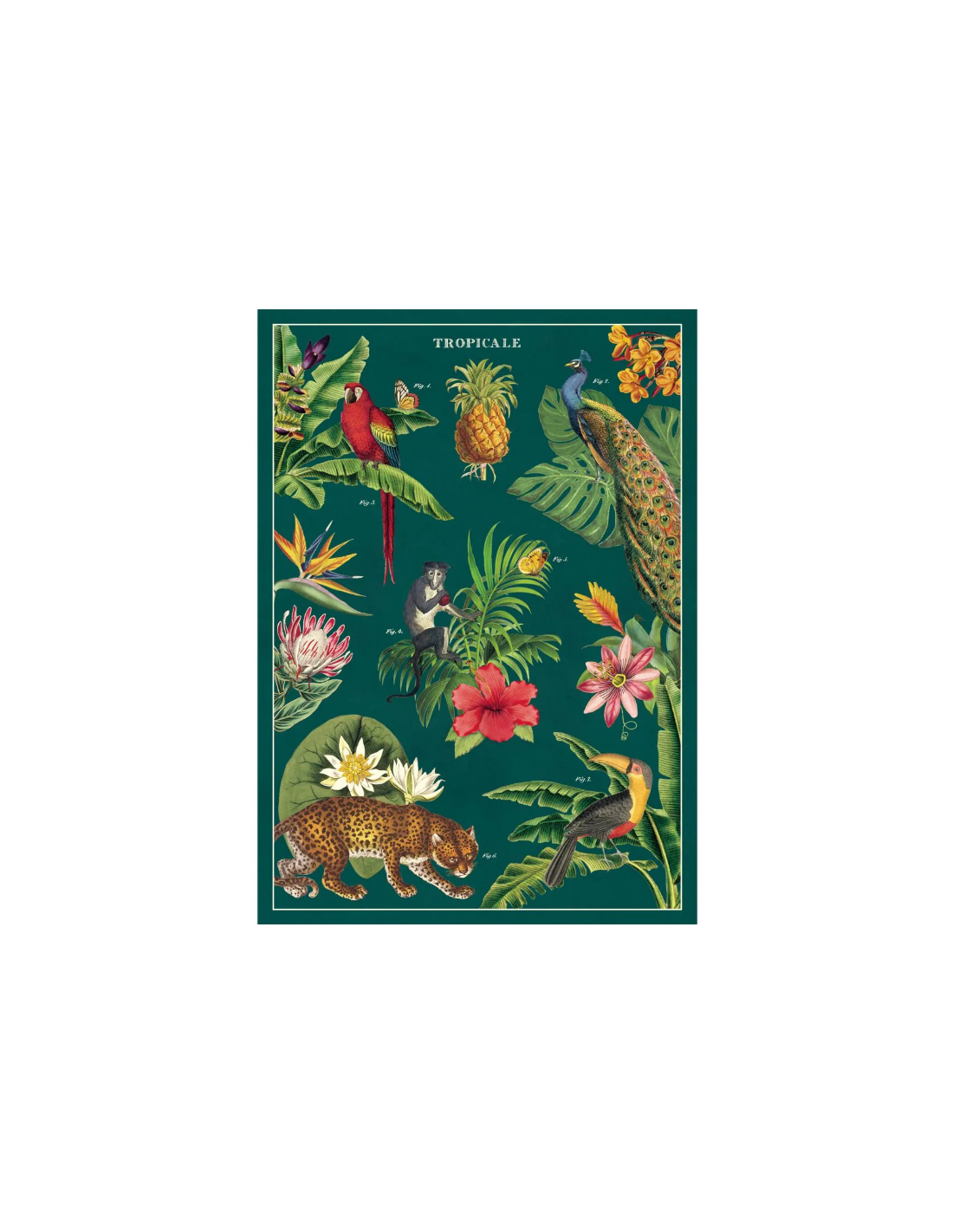 Póster 50x70 cm Tropical