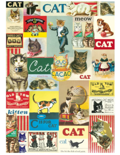 Póster 50x70 cm Carteles de Gatos
