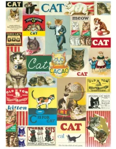 Póster 50x70 cm Carteles de Gatos