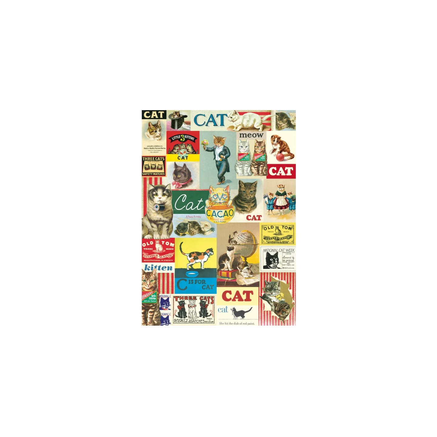 Póster 50x70 cm Carteles de Gatos