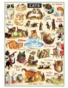 Póster 50x70 cm Gatos