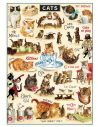 Póster 50x70 cm Gatos