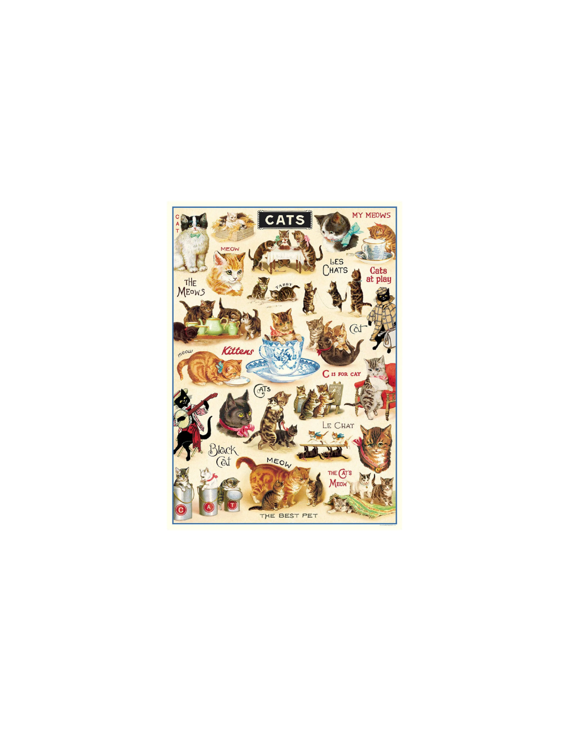Póster 50x70 cm Gatos