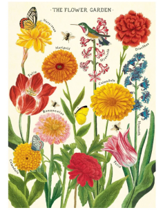 Póster 50x70 cm Flores de Jardín