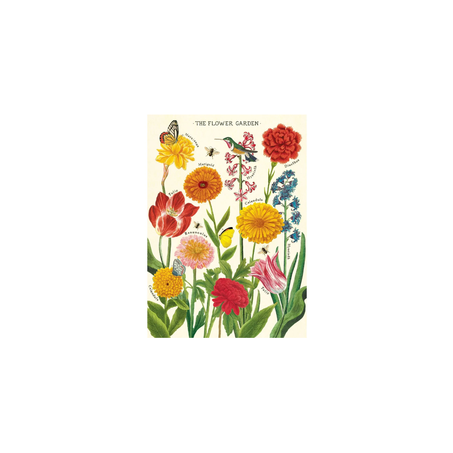 Póster 50x70 cm Flores de Jardín