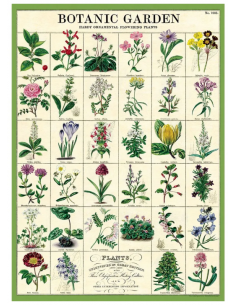 Póster 50x70 cm Jardín Botánico