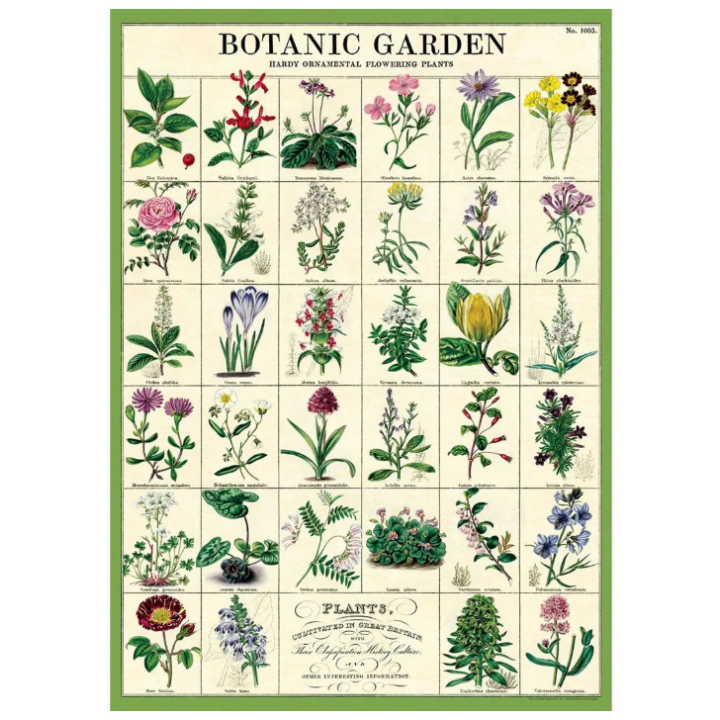 Póster 50x70 cm Jardín Botánico