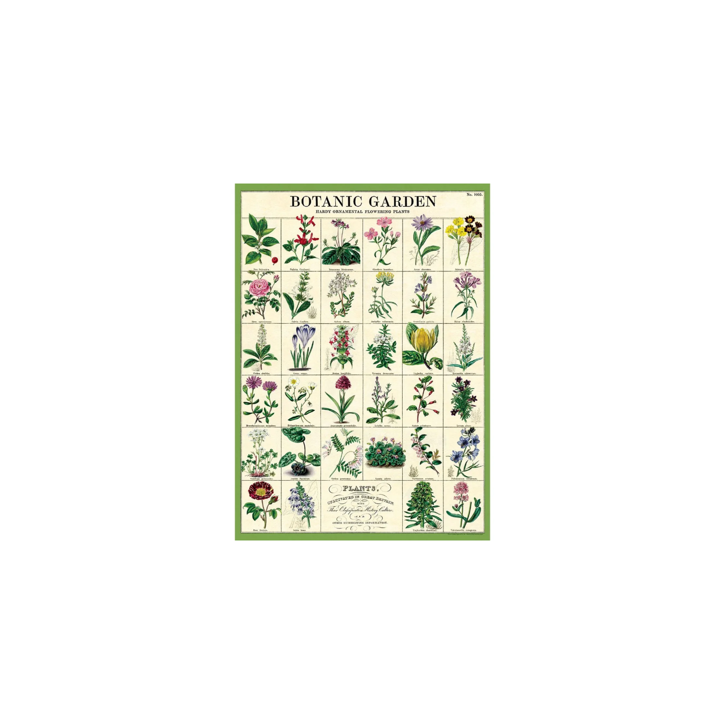 Póster 50x70 cm Jardín Botánico