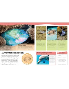 ¿Sabías qué? Oceanos 2