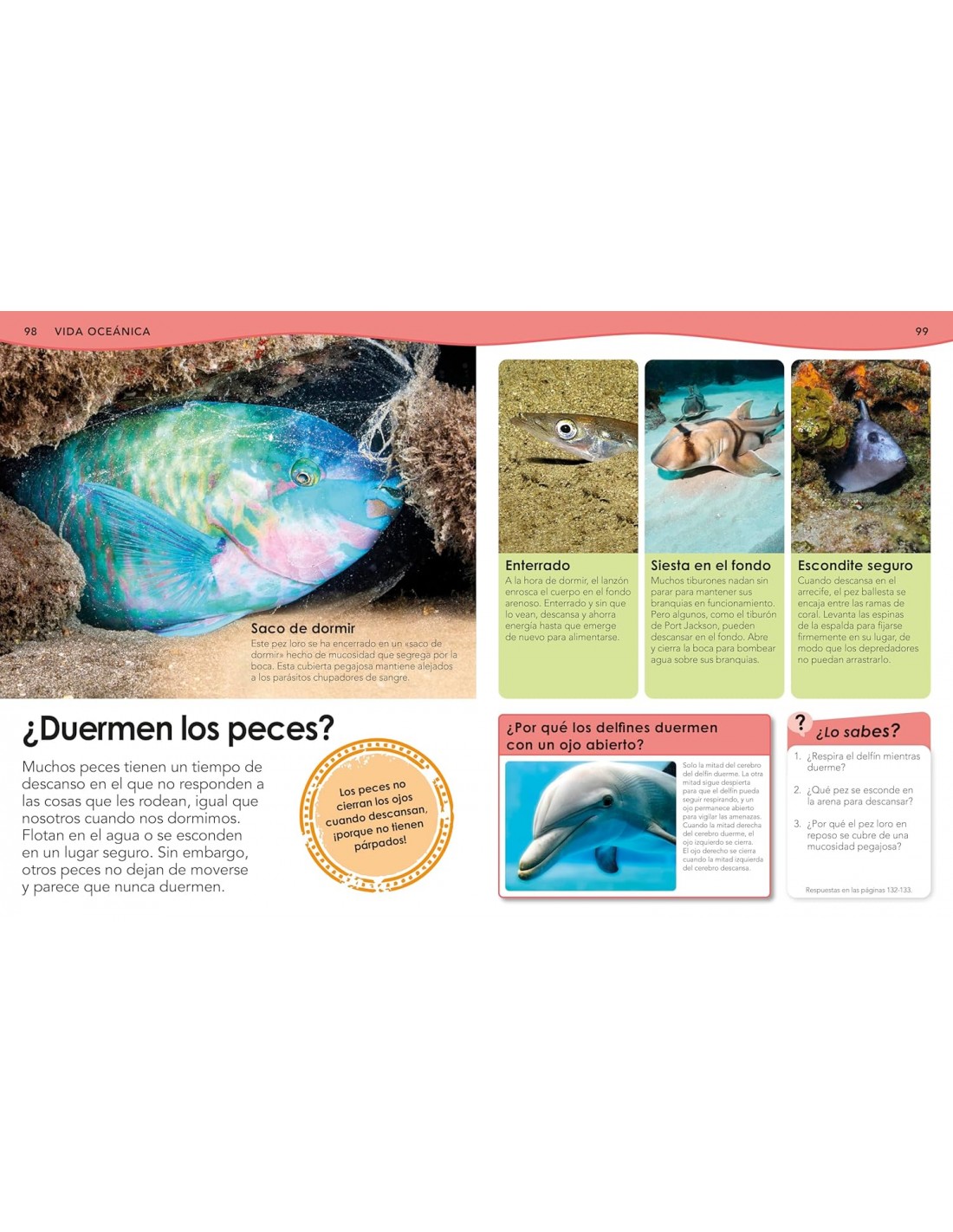 ¿Sabías qué? Oceanos