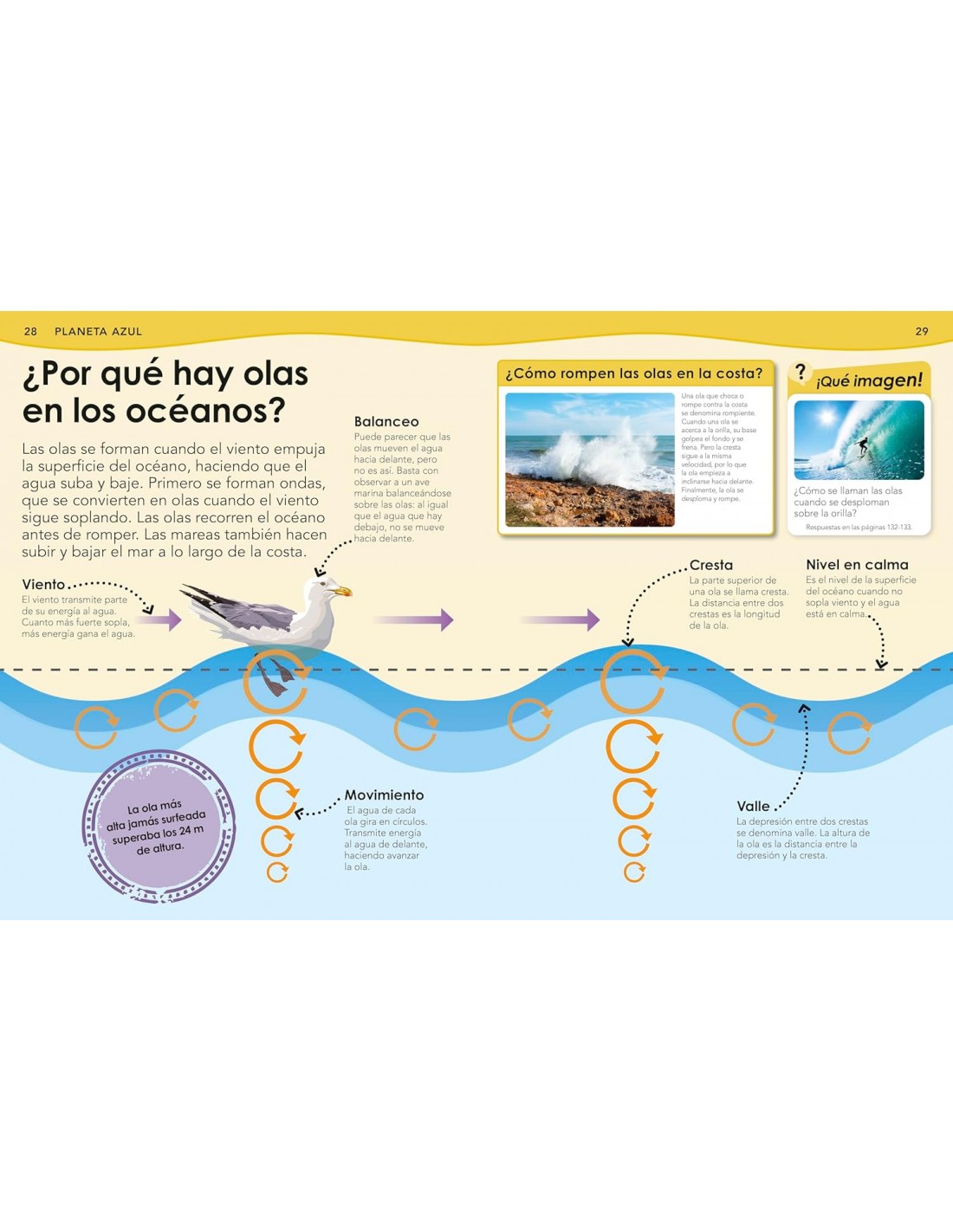 ¿Sabías qué? Oceanos