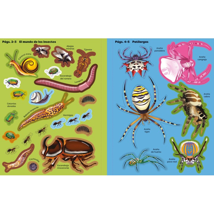 Libro de Pegatinas - Bichitos