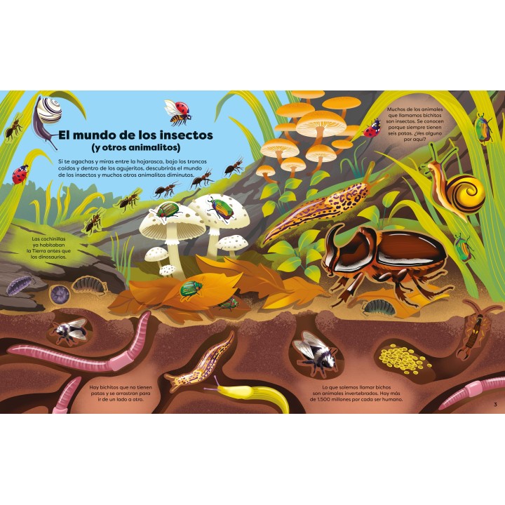 Libro de Pegatinas - Bichitos