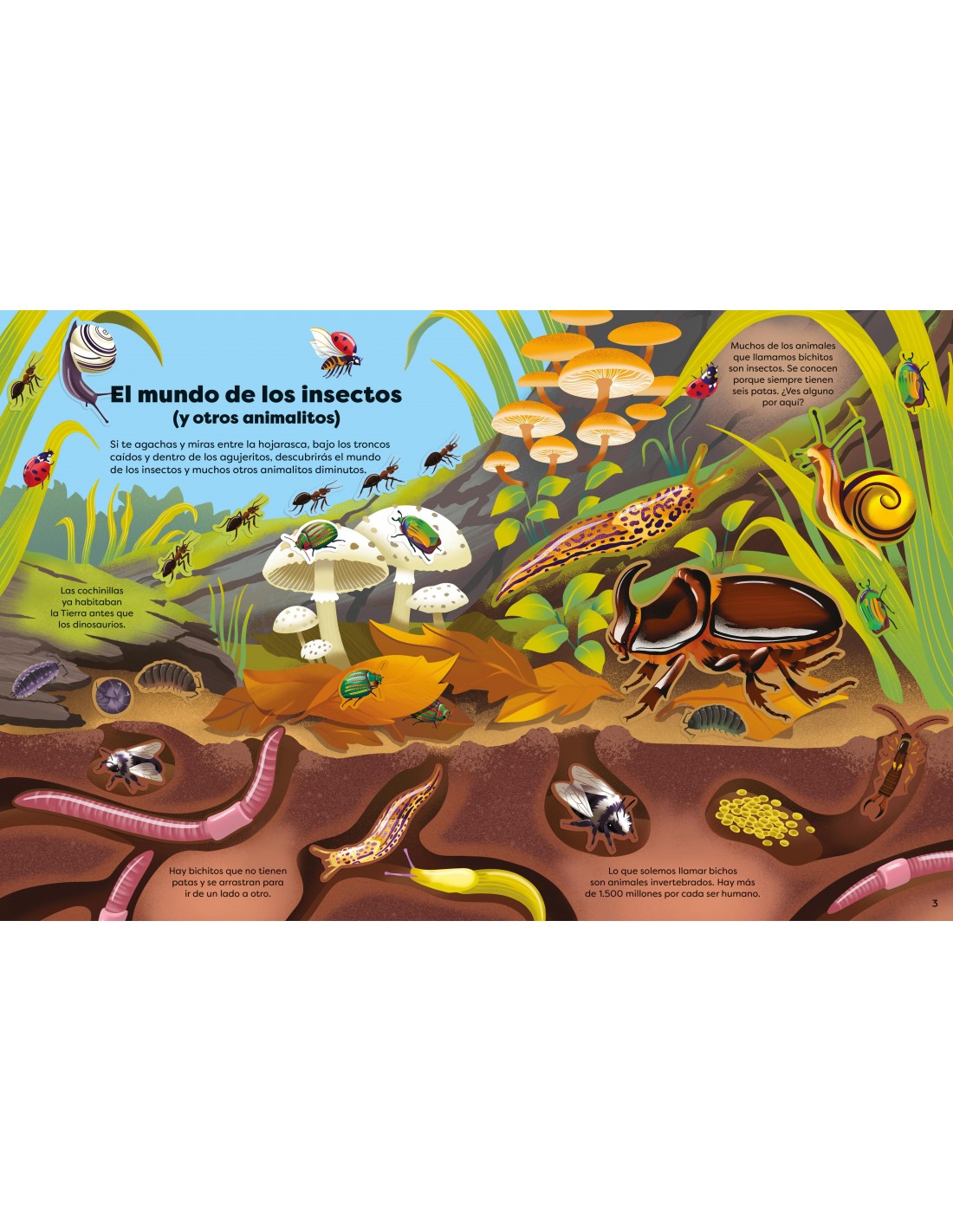 Libro de Pegatinas - Bichitos
