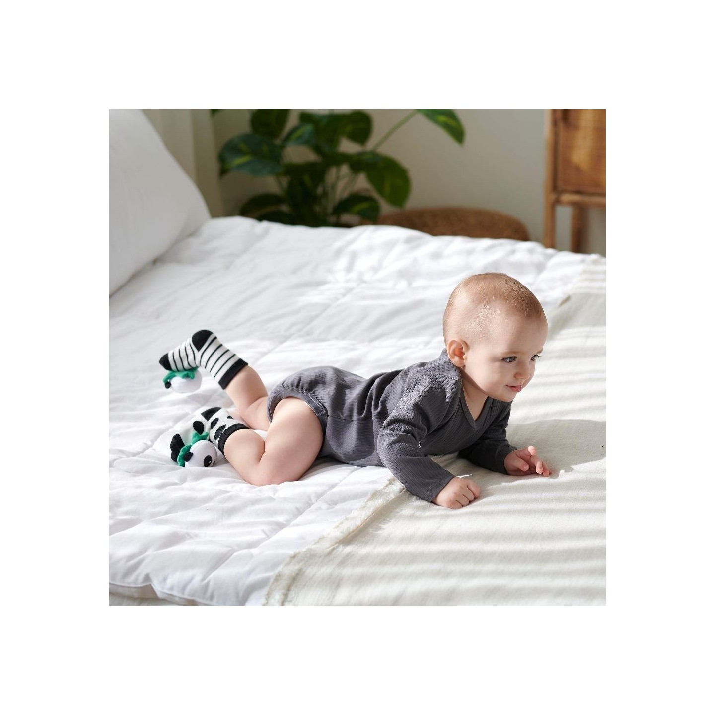 Calcetines Estimulacion Attisocks Panda